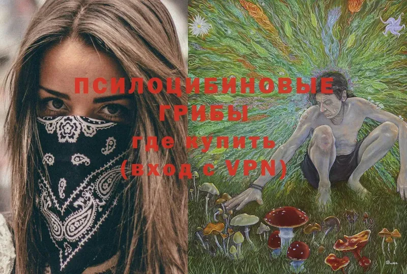 МЕГА   Вологда  Галлюциногенные грибы Magic Shrooms 