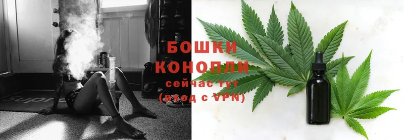 Бошки Шишки THC 21%  наркошоп  Вологда 